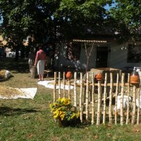 Zobacz w powiększeniu: Dożynki Powiatowe 2015 (6)