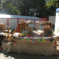 Zobacz w powiększeniu: Dożynki Powiatowe 2015 (7)