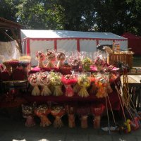 Zobacz w powiększeniu: Dożynki Powiatowe 2015 (8)