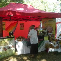 Zobacz w powiększeniu: Dożynki Powiatowe 2015 (10)