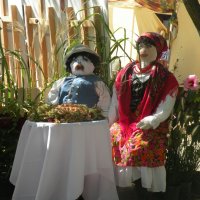 Zobacz w powiększeniu: Dożynki Powiatowe 2015 (11)