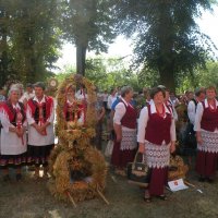 Zobacz w powiększeniu: Dożynki Powiatowe 2015 (13)