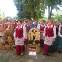 Zobacz w powiększeniu: Dożynki Powiatowe 2015 (14)
