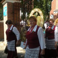 Zobacz w powiększeniu: Dożynki Powiatowe 2015 (19)