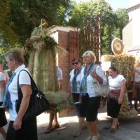 Zobacz w powiększeniu: Dożynki Powiatowe 2015 (28)