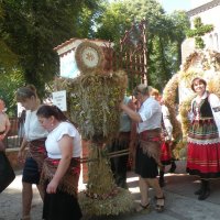 Zobacz w powiększeniu: Dożynki Powiatowe 2015 (29)