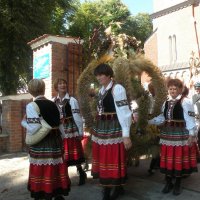 Zobacz w powiększeniu: Dożynki Powiatowe 2015 (30)