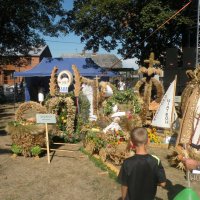 Zobacz w powiększeniu: Dożynki Powiatowe 2015 (40)