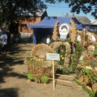 Zobacz w powiększeniu: Dożynki Powiatowe 2015 (41)