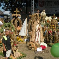 Zobacz w powiększeniu: Dożynki Powiatowe 2015 (42)
