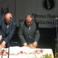 Zobacz w powiększeniu: Dożynki Powiatowe 2015 (45)
