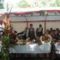Zobacz w powiększeniu: Dożynki Powiatowe 2015 (50)