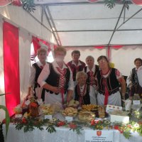 Zobacz w powiększeniu: Dożynki Powiatowe 2015 (51)