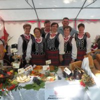 Zobacz w powiększeniu: Dożynki Powiatowe 2015 (52)