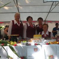 Zobacz w powiększeniu: Dożynki Powiatowe 2015 (53)
