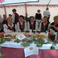 Zobacz w powiększeniu: Dożynki Powiatowe 2015 (54)