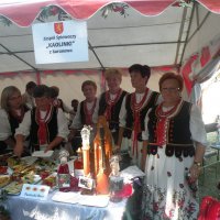Zobacz w powiększeniu: Dożynki Powiatowe 2015 (55)