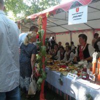 Zobacz w powiększeniu: Dożynki Powiatowe 2015 (56)