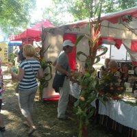 Zobacz w powiększeniu: Dożynki Powiatowe 2015 (57)