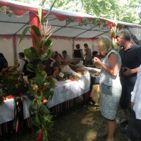 Zobacz w powiększeniu: Dożynki Powiatowe 2015 (58)