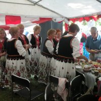 Zobacz w powiększeniu: Dożynki Powiatowe 2015 (61)