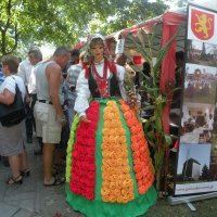 Zobacz w powiększeniu: Dożynki Powiatowe 2015 (62)