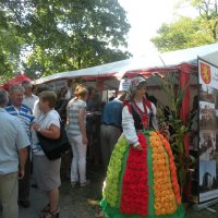 Zobacz w powiększeniu: Dożynki Powiatowe 2015 (63)