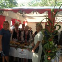 Zobacz w powiększeniu: Dożynki Powiatowe 2015 (64)