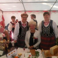 Zobacz w powiększeniu: Dożynki Powiatowe 2015 (1)