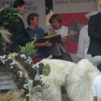 Zobacz w powiększeniu: Dożynki Powiatowe 2015 (15)