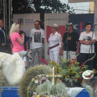 Zobacz w powiększeniu: Dożynki Powiatowe 2015 (21)