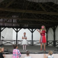 Zobacz w powiększeniu: GODEL 2015 (13)