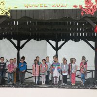 Zobacz w powiększeniu: GODEL 2015 (38)