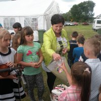 Zobacz w powiększeniu: GODEL 2015 (39)