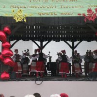 Zobacz w powiększeniu: GODEL 2015 (35)