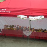 Zobacz w powiększeniu: Kiermasz Wielkanocny 2015 (2)