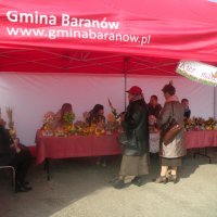 Zobacz w powiększeniu: Kiermasz Wielkanocny 2015 (12)
