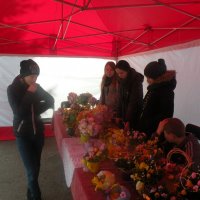 Zobacz w powiększeniu: Kiermasz Wielkanocny 2015 (24)
