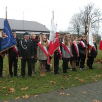 Zobacz w powiększeniu: Narodowe Święto Niepodległości - 11 listopada 2015 r. (23)