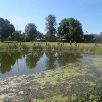 Zobacz w powiększeniu: Towarzyskie młodzieżowe zawody spławikowe 2015 (34)