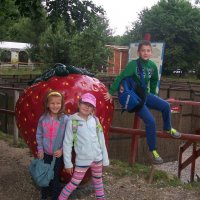 Zobacz w powiększeniu: Wakacje 2015 - Świetlica w Śniadówce (23)