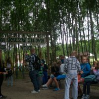 Zobacz w powiększeniu: Wakacje 2015 - Świetlica w Śniadówce (36)