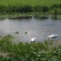Zobacz w powiększeniu: Wakacje 2015 - Świetlica w Śniadówce (6)