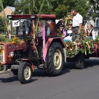 Zobacz w powiększeniu: Dożynki Gminne 2016 (14)