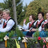 Zobacz w powiększeniu: Dożynki Gminne 2016 (22)