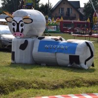 Zobacz w powiększeniu: Dożynki Gminne 2016 (24)