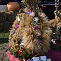 Zobacz w powiększeniu: Dożynki Gminne 2016 (29)