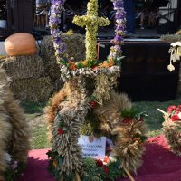 Zobacz w powiększeniu: Dożynki Gminne 2016 (30)