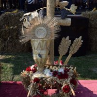 Zobacz w powiększeniu: Dożynki Gminne 2016 (31)