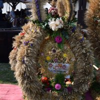 Zobacz w powiększeniu: Dożynki Gminne 2016 (32)
